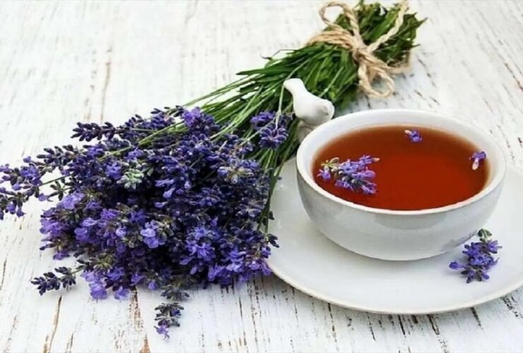 این داروی گیاهی فشار خون را کنترل می کند
