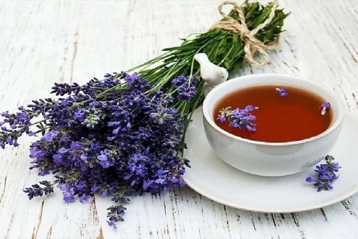 این داروی گیاهی فشار خون را کنترل می کند