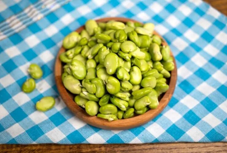 آخرین روش پخت لوبیا ؛ با این نکات کلیدی ، طعم لوبیا عالی خواهد بود