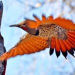 حماسه در قلب طبیعت ؛ تاریکی با مار خود برای زنده ماندن