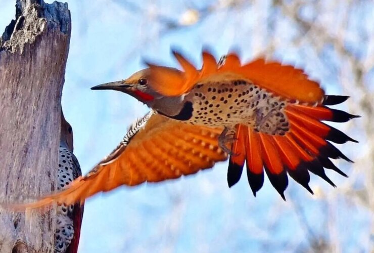 حماسه در قلب طبیعت ؛ تاریکی با مار خود برای زنده ماندن