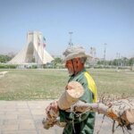 تصاویر درختان برش مربع آزادی