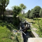 گنجی که توسط روسها در زارگاند به جا مانده است