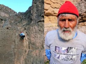 برای دیدن عنکبوت ایران -ادام 5 ساله
