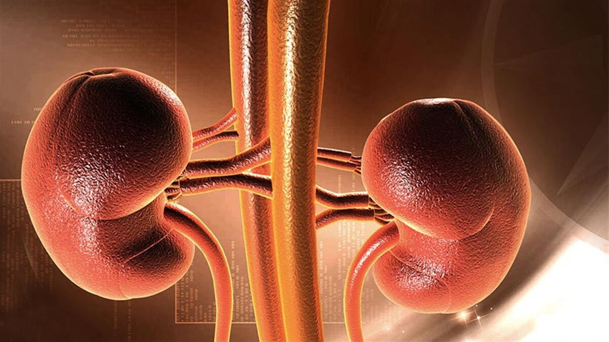 علت اختلال عملکرد کلیه چیست؟