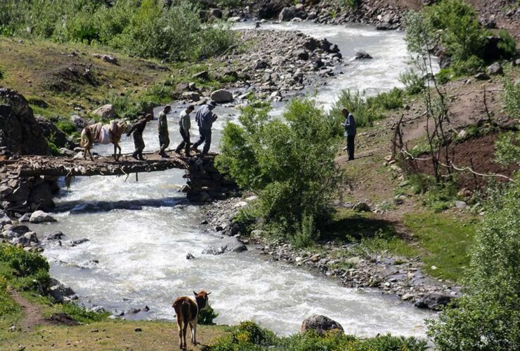 تصاویر ماهیت سالمندان