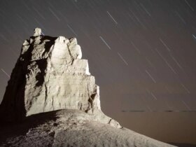 تصاویر شهد ، کلاچ و شب
