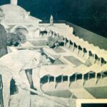 تصاویر 5 سال پیش شاه کلانگ ، مسجد دانشگاه تهران فرود آمد.
