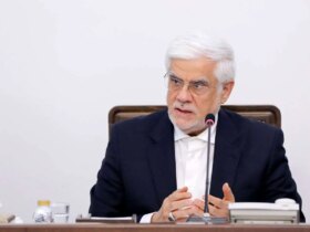 برای دیدن AREF: نقش مؤسسات نظارتی کشتی نیست