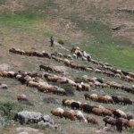 تصاویر شکستن