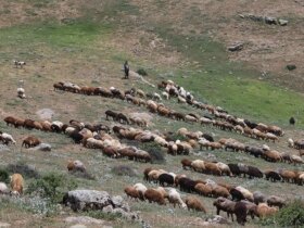 تصاویر شکستن