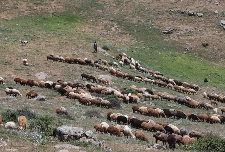 تصاویر شکستن