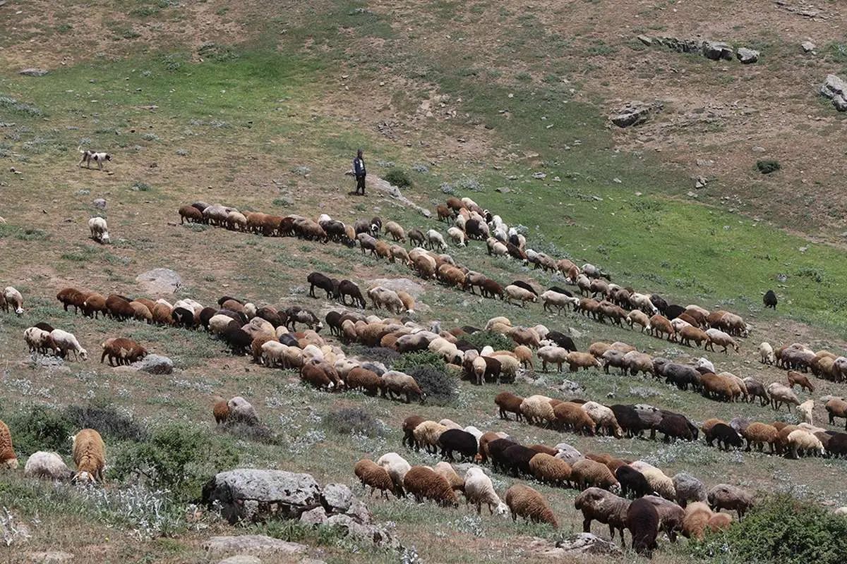 تصاویر شکستن