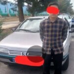 به دلیل نقض رانندگی یک مرد 4 ساله را به دست می گیرید