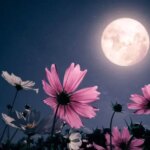 Tabal پنجشنبه ، 1 ژوئن ؛ هزاران دشمن ناپدید می شوند ...