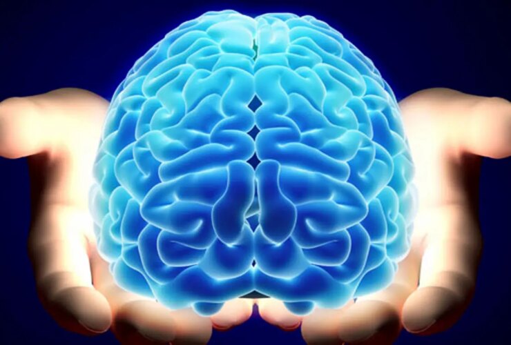 این وظایف مغز شما را از بین می برد