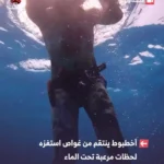 برای دیدن آبی -Collar ؛ هشتاد غواص غرق شد