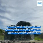 برای دیدن بازی مجسمه ملانیا ترامپ از زادگاهش