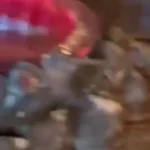 برای دیدن توضیح در مورد پروژه ساخت جهنم Foman Corps
