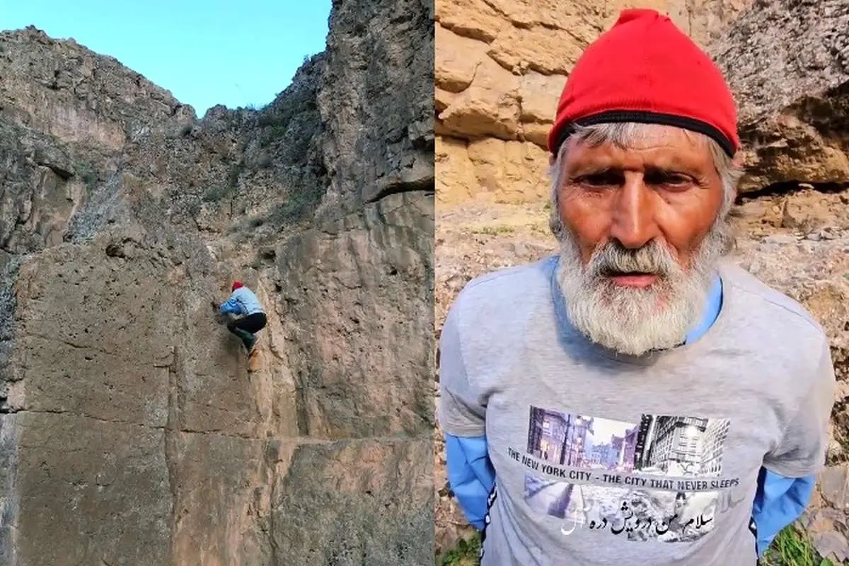 برای دیدن عنکبوت ایران -ادام 5 ساله 4 برای دیدن عنکبوت ایران -ادام 5 ساله