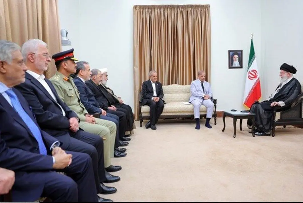 تأکید بر تأثیرات رهبر انقلابی برای متوقف کردن جنایات در غزه