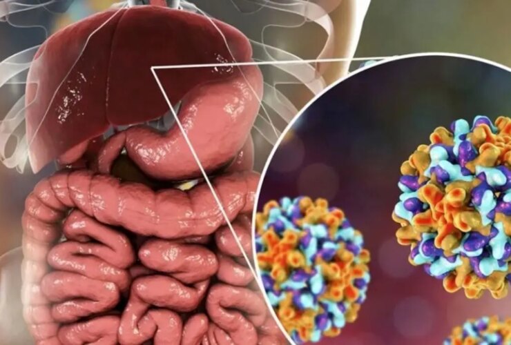 تفاوت بین هپاتیت B و زردی چیست؟