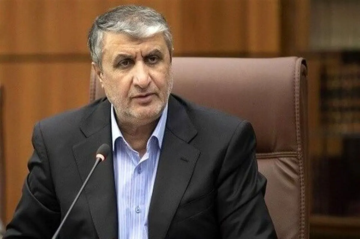 رئیس سازمان انرژی اتمی: ما به دنبال ارتش هسته ای نیستیم