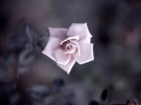 روز چهارشنبه ، 31 مه ، من می خواهم مسئول Sagıa Soysta از Tafali تا Hafiz باشم .....