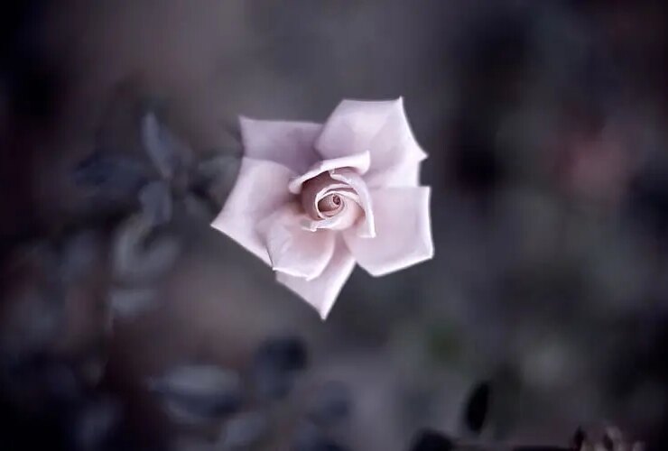 روز چهارشنبه ، 31 مه ، من می خواهم مسئول Sagıa Soysta از Tafali تا Hafiz باشم .....