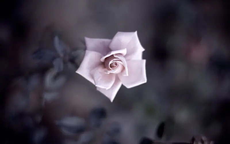 روز چهارشنبه ، 31 مه ، من می خواهم مسئول Sagıa Soysta از Tafali تا Hafiz باشم .....
