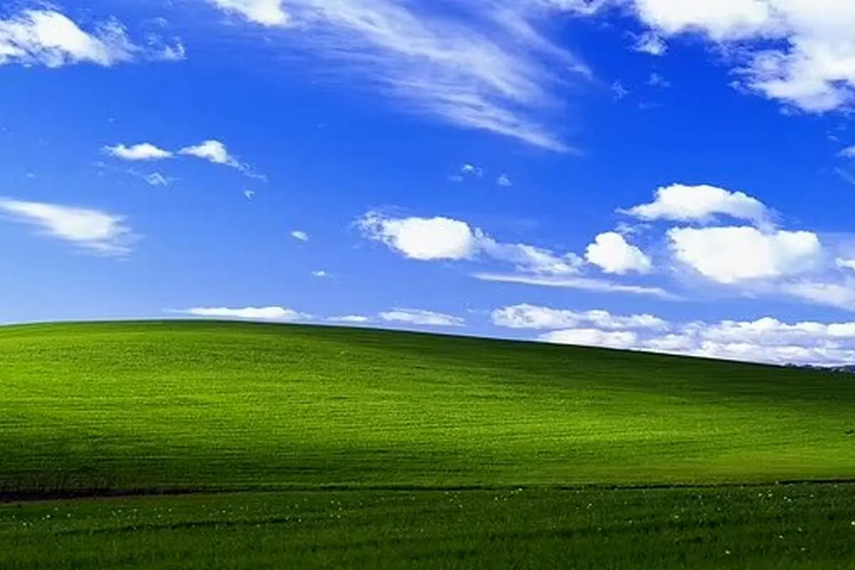 سرنوشت غم انگیز از پس زمینه معروف ویندوز XP 4 سرنوشت غم انگیز از پس زمینه معروف ویندوز XP