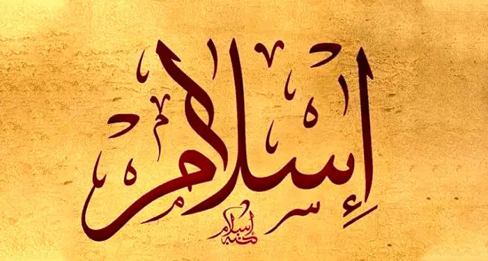 مؤلفه های حقوق اسلامی Alawite و Emiyad در اسلام
