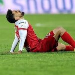 مرغ عقاب یک پا دارد. آلیش باید برود!