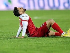 مرغ عقاب یک پا دارد. آلیش باید برود!