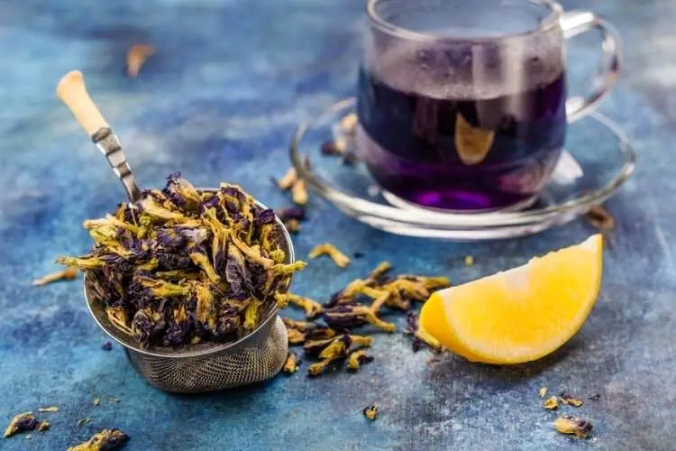 معجزه باورنکردنی "گلهای بوراژ" برای پوست و مو