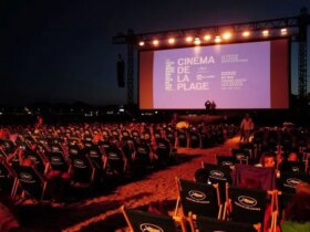 نام "نوع انواع" جشنواره فیلم 2025