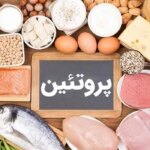 پروتئین حیوانی یا گیاهی است؟!