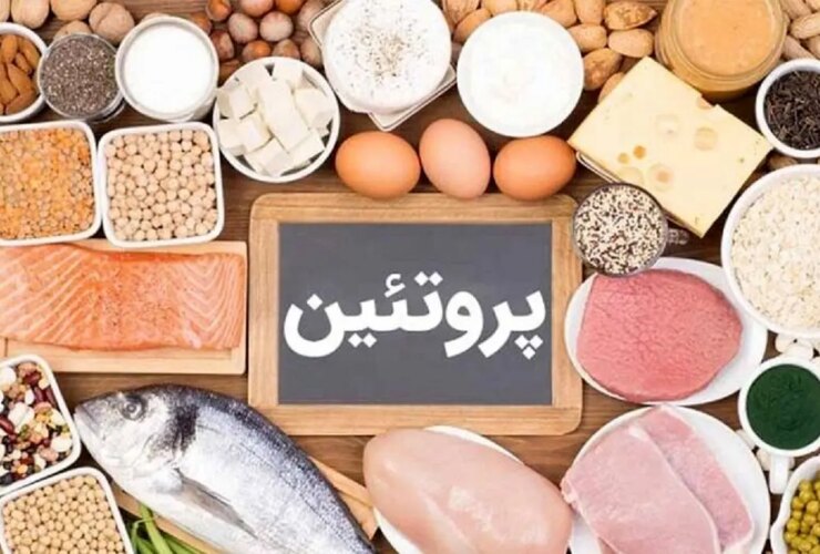 پروتئین حیوانی یا گیاهی است؟!