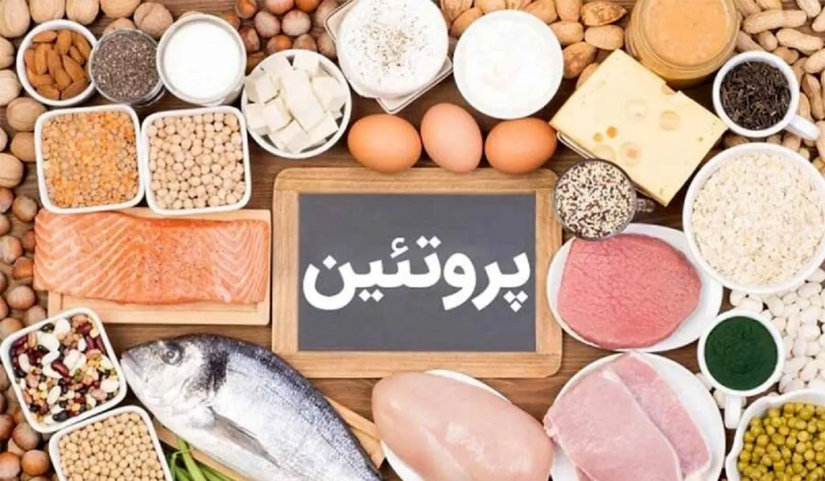 پروتئین حیوانی یا گیاهی است؟!