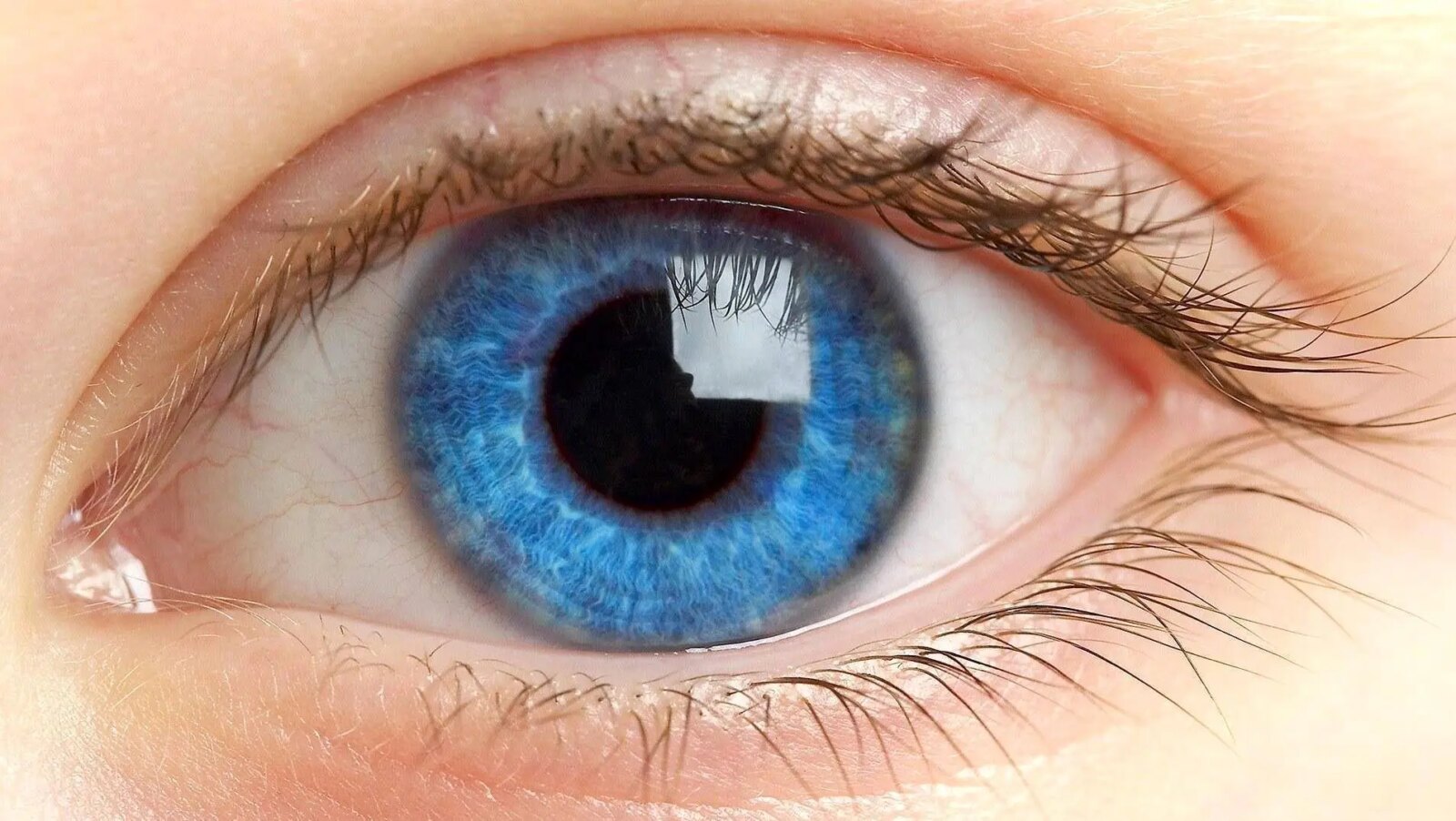 چگونه به پیری خود نگاه کنیم؟