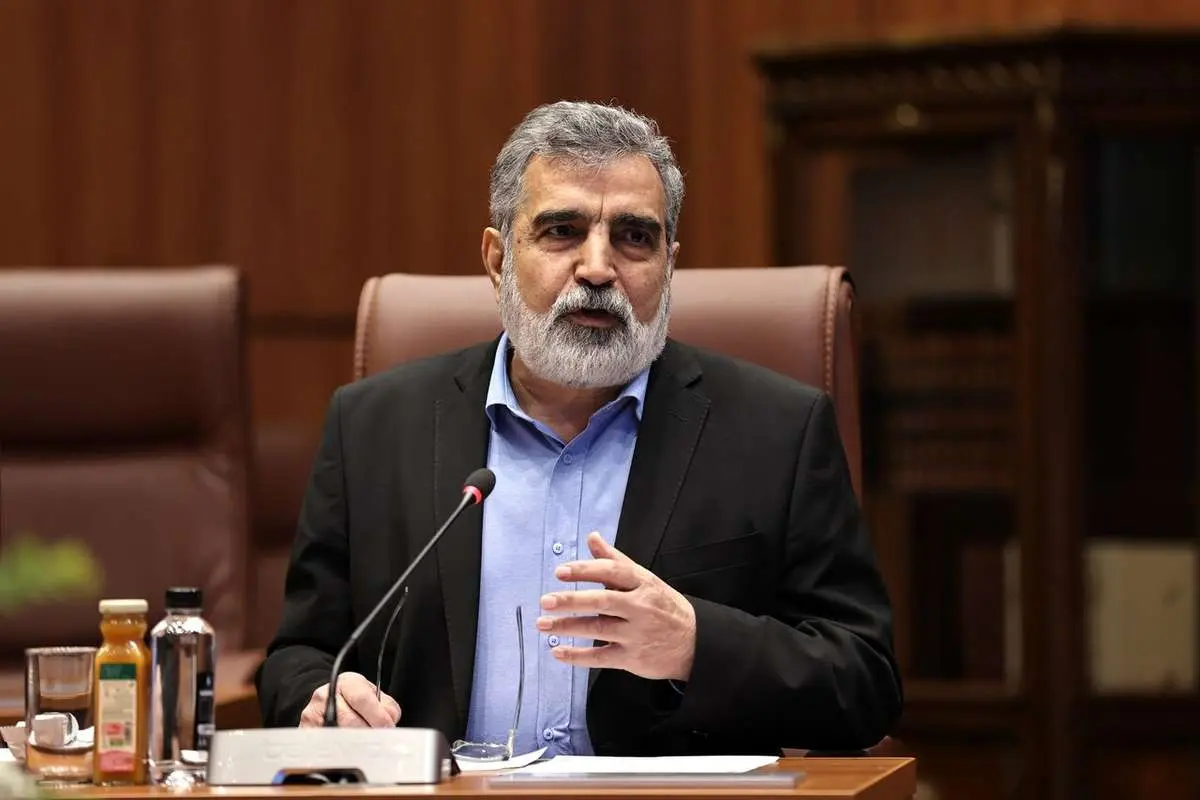 کمالواندی: ایران تنها کشوری نیست که غنی می شود و سلاح هسته ای ندارد 4 کمالواندی: ایران تنها کشوری نیست که غنی می شود و سلاح هسته ای ندارد