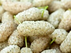 10 ویژگی شگفت انگیز میوه سفید