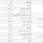 روشهای موفقیت آمیز دیوار ؛ کدام کالاها زودتر روی دیوار فروخته می شوند؟