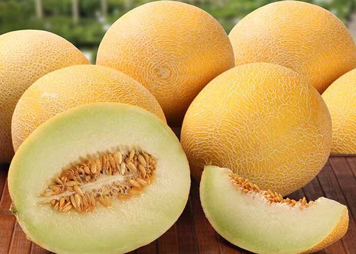 تراریخته و مضر برای سلامتی؟