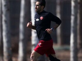Carikal و Persepolis را بررسی کنید تا در وهید امیری و چانه اش بمانند