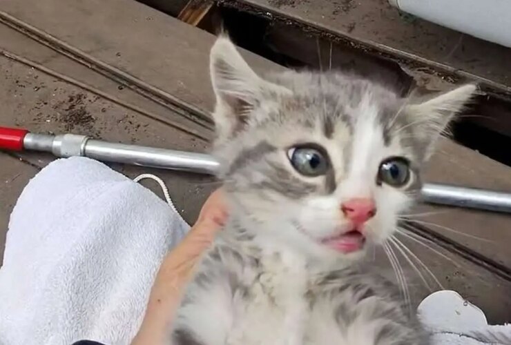 برای دیدن بازپرداخت کودک پس از لوله فاضلاب 4 ساعته