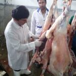 عید الدا در وزارت بهداشت در مورد بخش دام هشدار