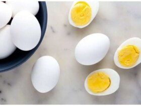 تخم مرغ در افراد مسن چرا کبد چربی است؟