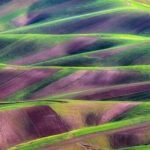 عکس رویایی Yarrabad Velvet Plains ؛ به نظر می رسد مانند یک عکس!