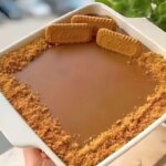 برای دیدن دسر بیسکویت ، دسر خوشمزه و ظریف